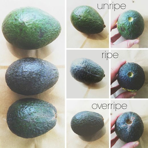 Is my Avocado Ripe? Is my Avocado Ripe?